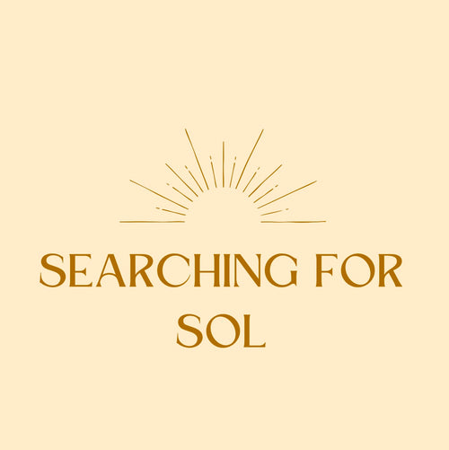 Searching for Sol Store