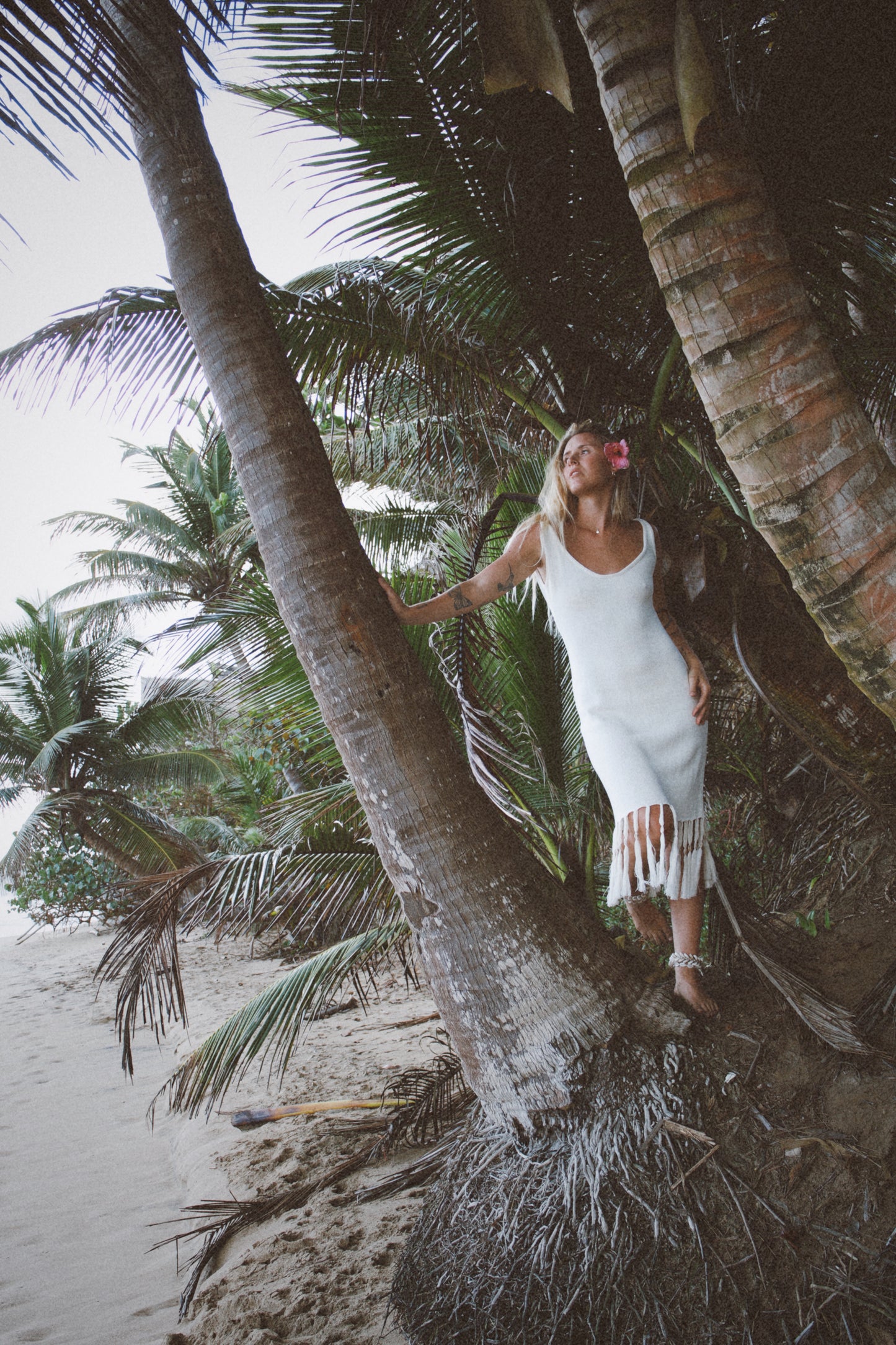 Kelapa Cowrie Knit Dress